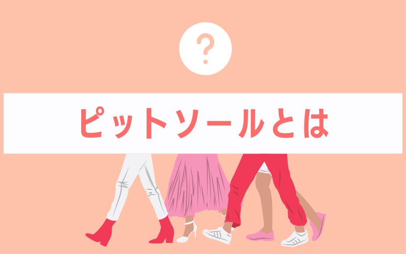 ピットソールとは