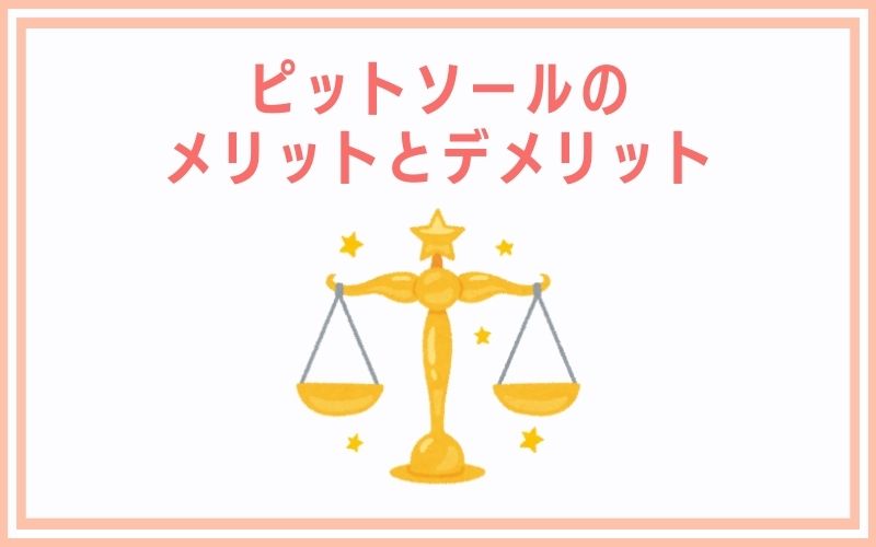 ピットソールのメリットとデメリット