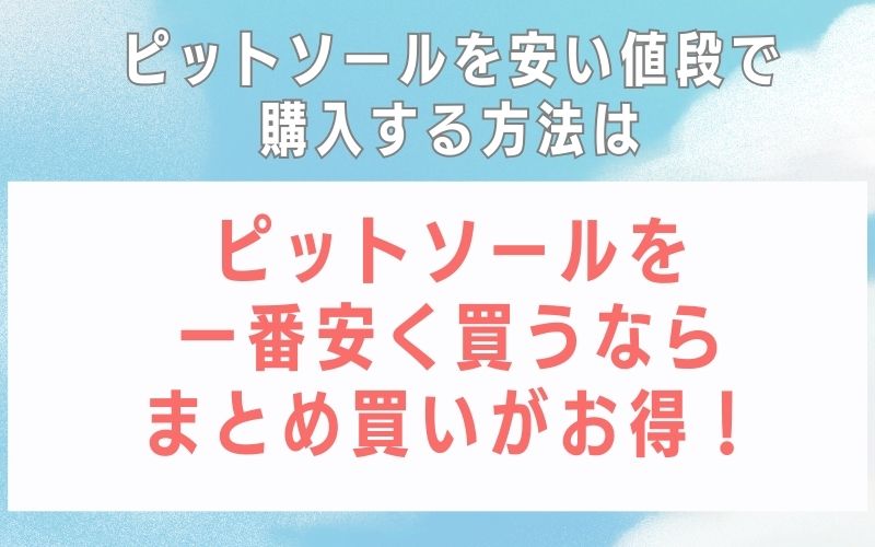 ピットソールを一番安く買うならまとめ買いがお得!