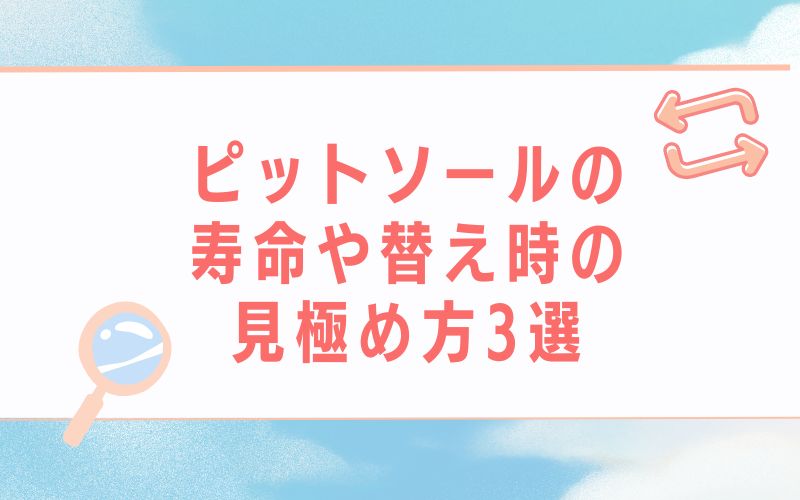 ピットソールの寿命や替え時の見極め方3選