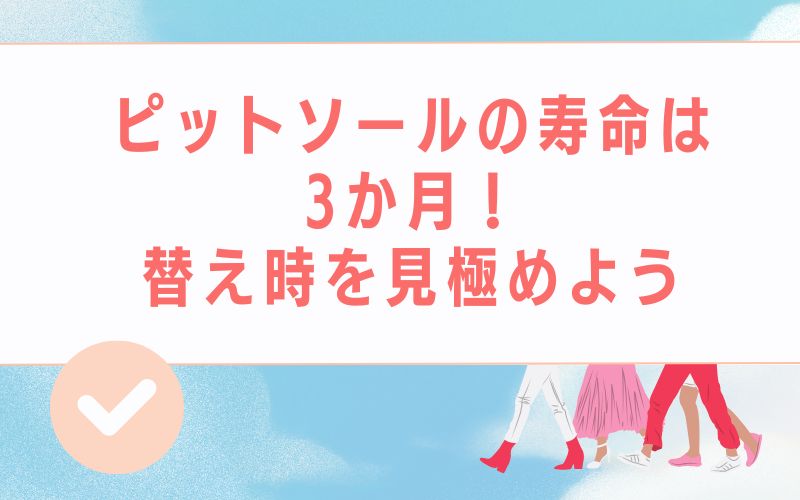 ピットソールの寿命は3か月!替え時を見極めよう