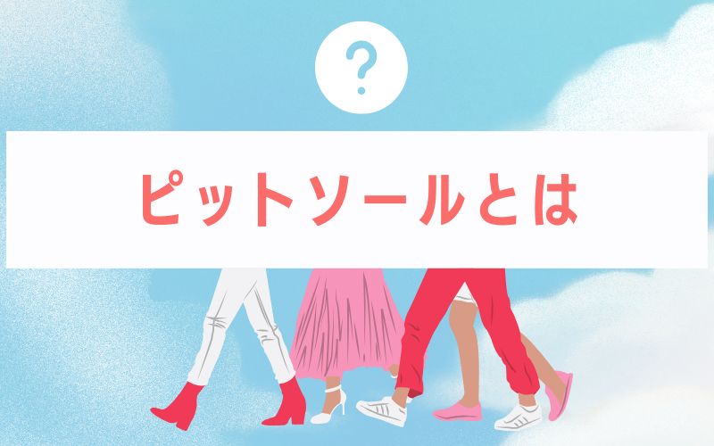 ピットソールとは
